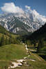 913294_ Bindalm geschlängelte lange Wanderwege durch grüne Almwiesen Naturfoto mit Blick auf Reiteralpe
