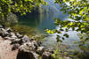 914291_Königsseeufer Landschaft Naturbild grüner Oase Steine mit Bäumen am Wasser in Sonne getaucht