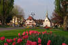 600495_ Uhldingen am berlinger See in Bodensee Reise Foto, Kirche an Allee & Seepromenade in Blumen