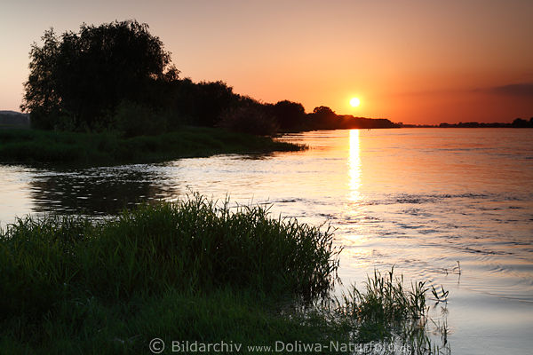 Elbe-Sonnenuntergang Wasser-Flulandschaft Gegenlicht-Naturfoto