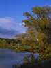 Elbbucht Wasserufer Angler Gewitter Stimmungsfoto unter Weidenbaum in Abendlicht
