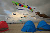 Drachen am Himmel St. Peter-Ording Foto ber Strandmuscheln Nordseekste Urlaub Reise