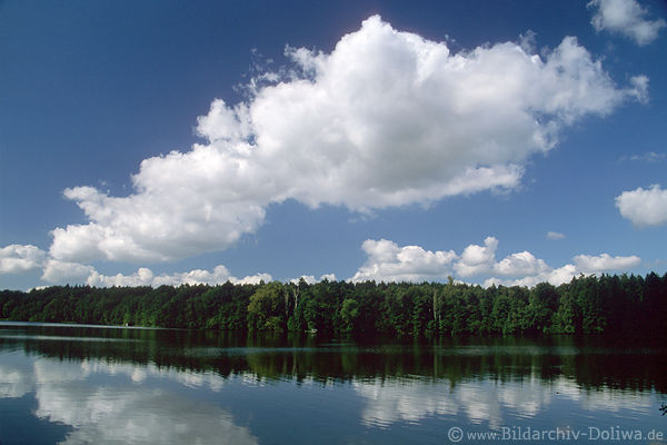 Ltjensee Wasserlandschaft Naturbild Schnwetterwolken Stimmungsfoto Ostholsteins