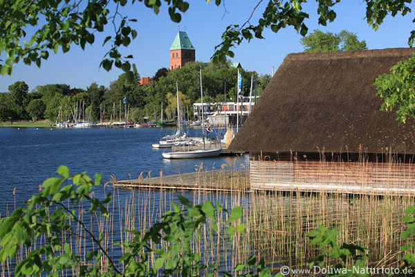 Ratzeburg See Wasserufer Frhlingsbild Hafen Htte Schilf Naturidylle Dom-Blick