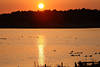 Raketau Ruppersdorfer-See Sonnenuntergang Lichtstimmung Naturfoto mit Wasservögeln