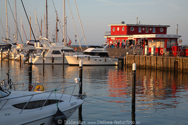 Damp Yachthafen-Bistro Boote in Wasser Abendsonne Urlaubsidylle am Meer