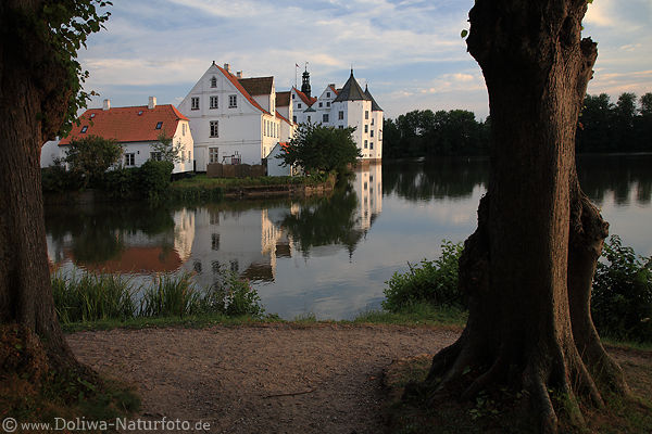 Schloßpark Glücksburg Baumstämme weisses Schloss Wasser Blick durch Bäume