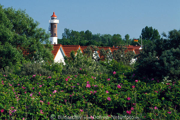 Leuchtturm Timmendorf Frhlingsfoto Insel Poel Ostseekste