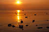 Sonne über Meer-Wassertafel Ostsee Lichtkegel romantische Spiegelung Naturfoto Insel Poel