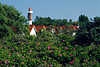 Leuchtturm Timmendorf Frühlingsfoto Insel Poel Ostseeküste