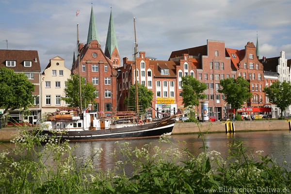 Lübeck Flussufer Untertrave Wasser Pflanzen Naturfoto Segelschiff vor Altstadt Häuserzeile