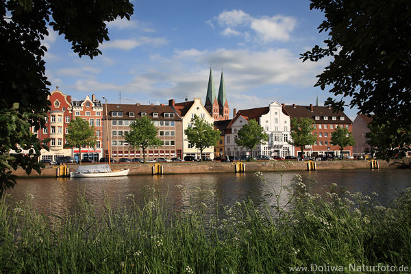 Lübeck Flusslandschaft Untertrave Ufergräser Altstadtblick
