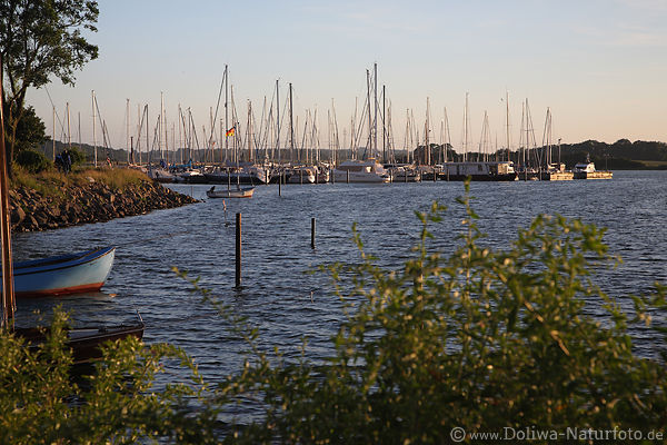 Maasholm Jachthafen Segelboote in Wasser Fjordlandschaft Schlei Kste