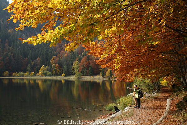Feldsee Herbstfoto Wasserufer Naturbild Wanderer unter Bumen in Schwarzwald Golden Herbst  