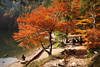 Feldsee Herbstfarben Naturfoto bunte Bume am Wasserufer Schwarzwald Wanderer Ausflugsziel