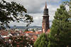 Freiburg Münster Kirche Spitzturm Foto über Altstadtdächer Citylandschaft Schwarzwald