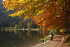 Feldsee Herbstfoto Wasserufer Naturbild Wanderer unter Bäumen in Schwarzwald Golden Herbst