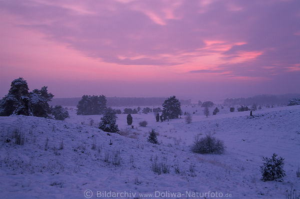 Rothimmel ber Schnee-Winterbild Abendstimmung Naturfoto Dmmerung frostige Winterlandschaft