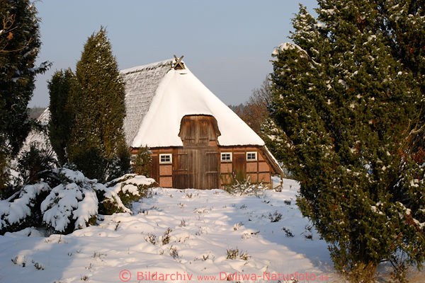 Schnee um Stall in Wacholderheide Sonnenschein romantische Winterbild Naturfoto