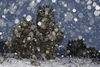 Schneefall Naturfotos fallende Schneeflocken am Himmel Schneetreiben romantische Winterlandschaft