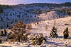 Wintertal Schneelandschaft Naturbild in Sonnenschein gelbrosa Farben Weitblick über Einzelbäume