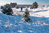 Schneefrost Winterzauber Naturbild in Morgen-Sonnenschein kalte Schneelandschaft Diabild