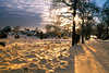 Goldschnee Abendstimmung Naturfoto Sonne über Baumallee Winterlandschaft Schneedecke Wanderer