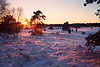 Sonnenuntergang Winterzauber rotgefärbter Schnee romantische Winterlandschaft Naturbild