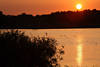 Raketau Ruppersdorfer-See Sonnenuntergang-Lichtstimmung Naturbild mit Wasservögeln